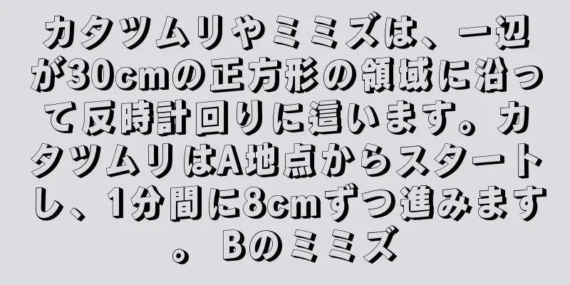 カタツムリやミミズは、一辺が30cmの正方形の領域に沿って反時計回りに這います。カタツムリはA地点からスタートし、1分間に8cmずつ進みます。 Bのミミズ