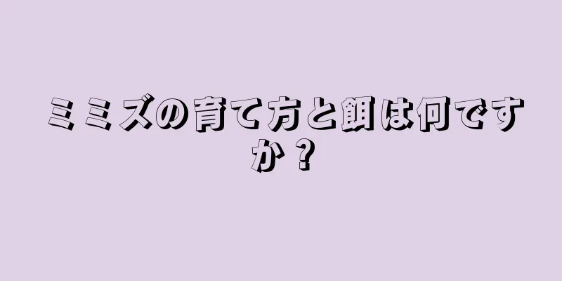 ミミズの育て方と餌は何ですか？