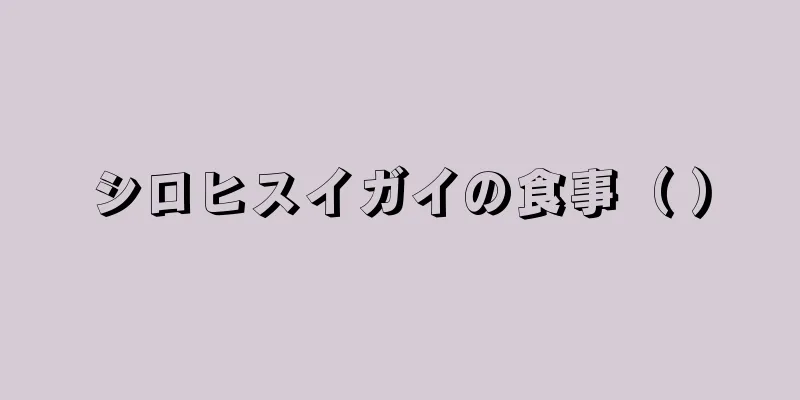 シロヒスイガイの食事（ ）