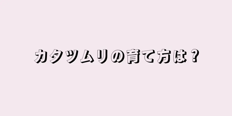 カタツムリの育て方は？