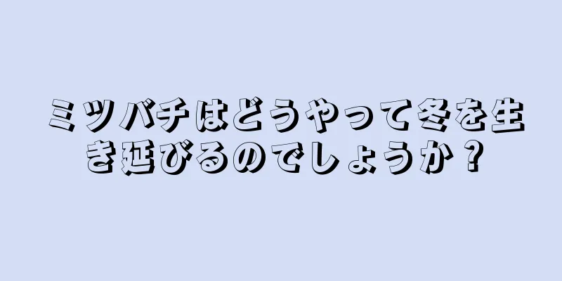 ミツバチはどうやって冬を生き延びるのでしょうか？