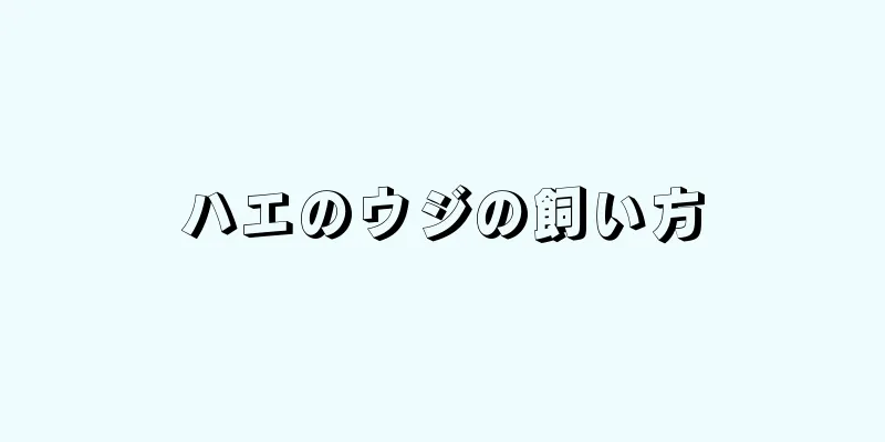 ハエのウジの飼い方