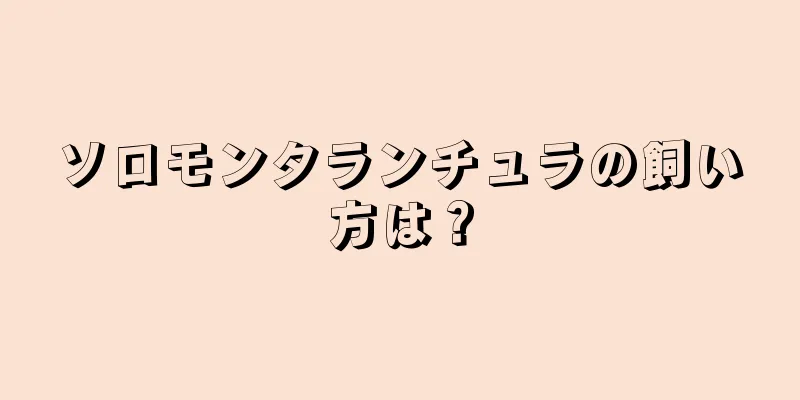 ソロモンタランチュラの飼い方は？