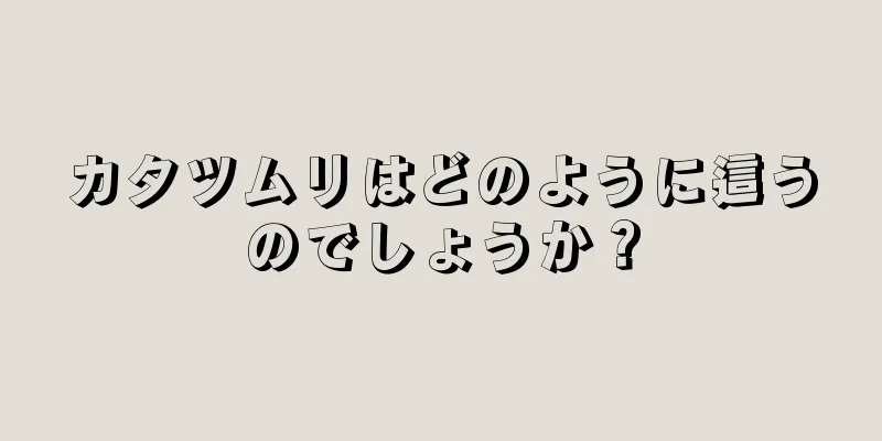 カタツムリはどのように這うのでしょうか？