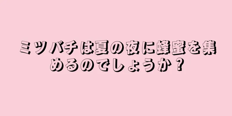 ミツバチは夏の夜に蜂蜜を集めるのでしょうか？