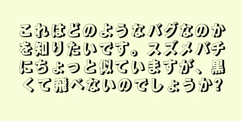 これはどのようなバグなのかを知りたいです。スズメバチにちょっと似ていますが、黒くて飛べないのでしょうか?