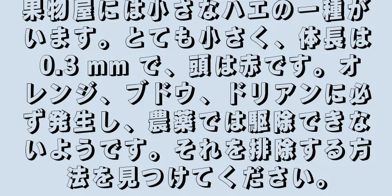果物屋には小さなハエの一種がいます。とても小さく、体長は 0.3 mm で、頭は赤です。オレンジ、ブドウ、ドリアンに必ず発生し、農薬では駆除できないようです。それを排除する方法を見つけてください。