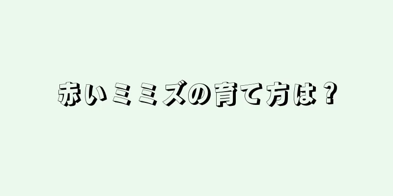 赤いミミズの育て方は？