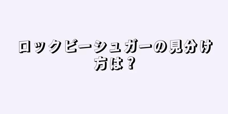 ロックビーシュガーの見分け方は？