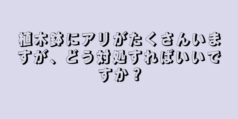 植木鉢にアリがたくさんいますが、どう対処すればいいですか？