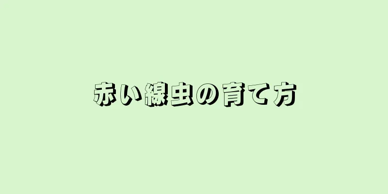 赤い線虫の育て方
