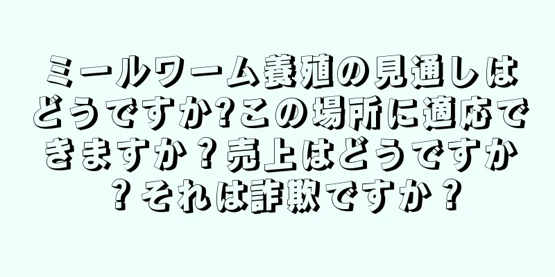 ミールワーム養殖の見通しはどうですか?この場所に適応できますか？売上はどうですか？それは詐欺ですか？