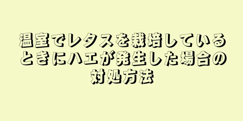 温室でレタスを栽培しているときにハエが発生した場合の対処方法
