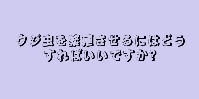 ウジ虫を繁殖させるにはどうすればいいですか?