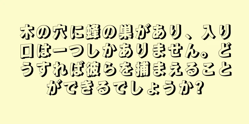 木の穴に蜂の巣があり、入り口は一つしかありません。どうすれば彼らを捕まえることができるでしょうか?