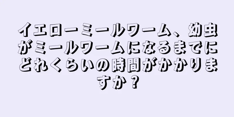 イエローミールワーム、幼虫がミールワームになるまでにどれくらいの時間がかかりますか？