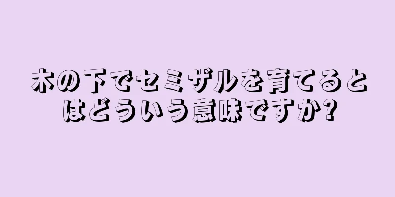 木の下でセミザルを育てるとはどういう意味ですか?