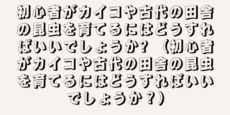 初心者がカイコや古代の田舎の昆虫を育てるにはどうすればいいでしょうか? （初心者がカイコや古代の田舎の昆虫を育てるにはどうすればいいでしょうか？）