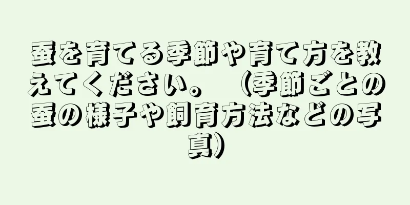 蚕を育てる季節や育て方を教えてください。 （季節ごとの蚕の様子や飼育方法などの写真）