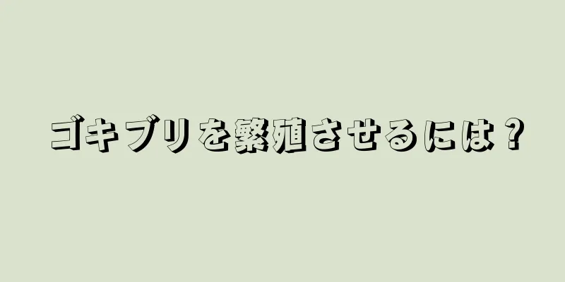 ゴキブリを繁殖させるには？