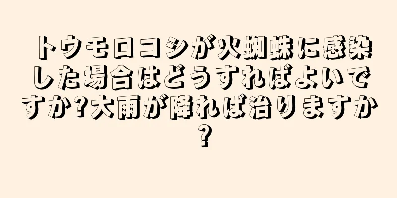 トウモロコシが火蜘蛛に感染した場合はどうすればよいですか?大雨が降れば治りますか？
