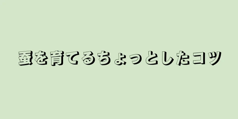 蚕を育てるちょっとしたコツ