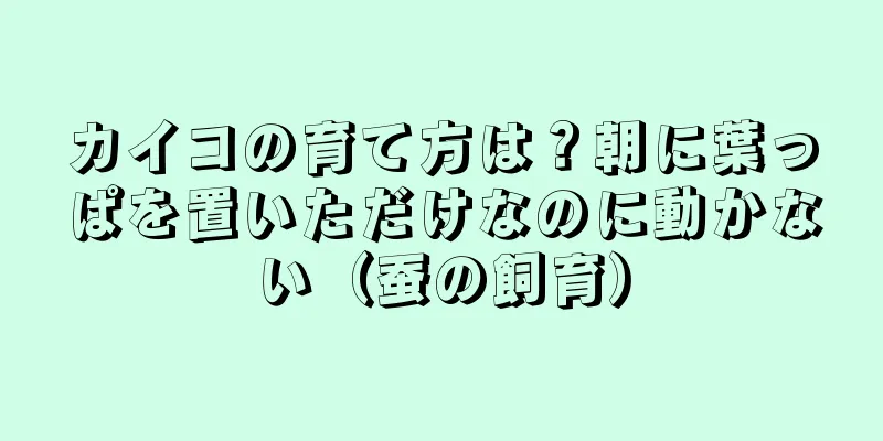 カイコの育て方は？朝に葉っぱを置いただけなのに動かない（蚕の飼育）