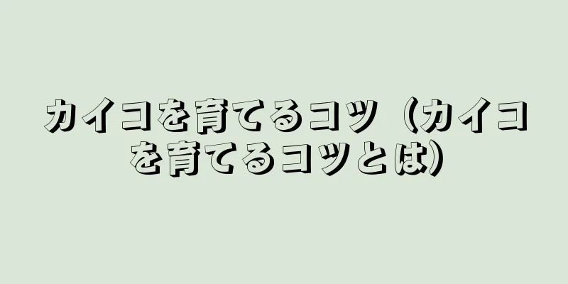 カイコを育てるコツ（カイコを育てるコツとは）