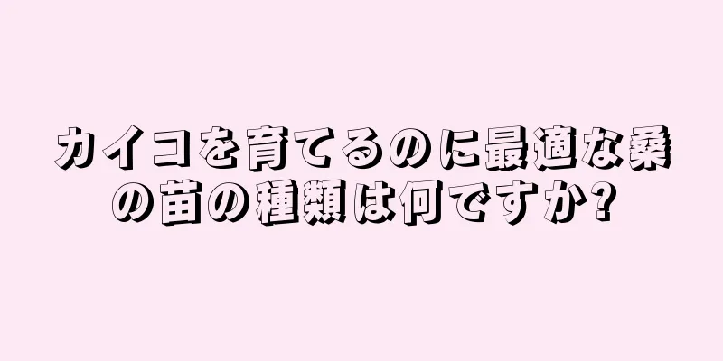 カイコを育てるのに最適な桑の苗の種類は何ですか?