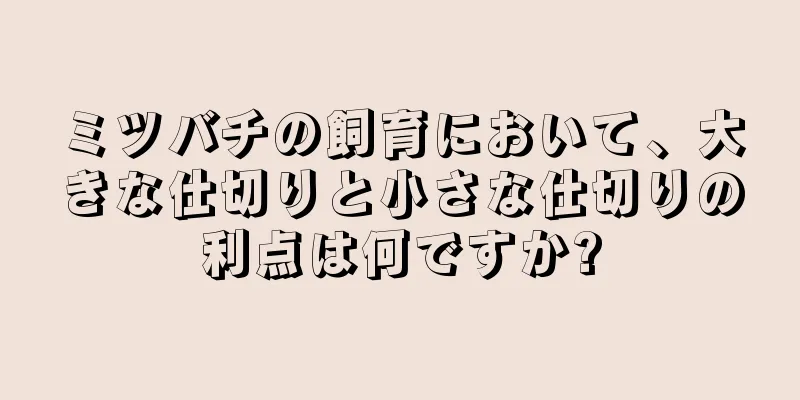 ミツバチの飼育において、大きな仕切りと小さな仕切りの利点は何ですか?