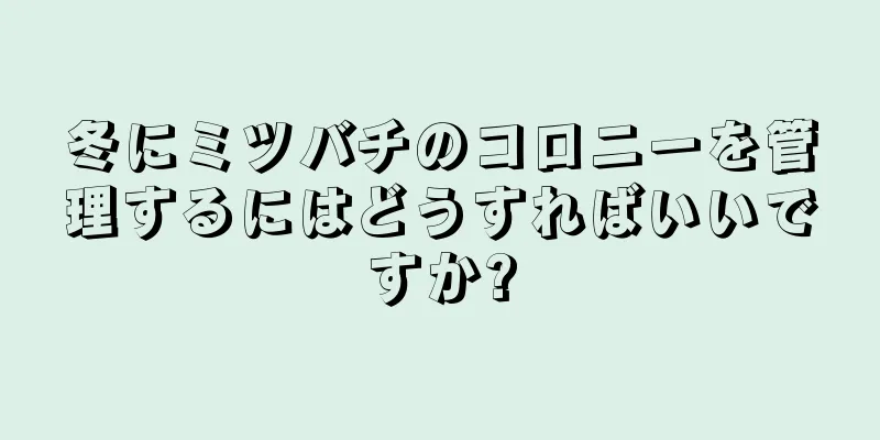 冬にミツバチのコロニーを管理するにはどうすればいいですか?