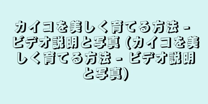 カイコを美しく育てる方法 - ビデオ説明と写真 (カイコを美しく育てる方法 - ビデオ説明と写真)