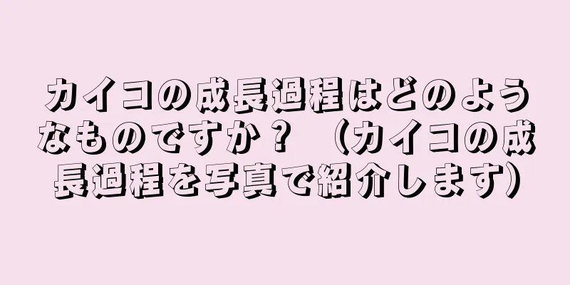 カイコの成長過程はどのようなものですか？ （カイコの成長過程を写真で紹介します）