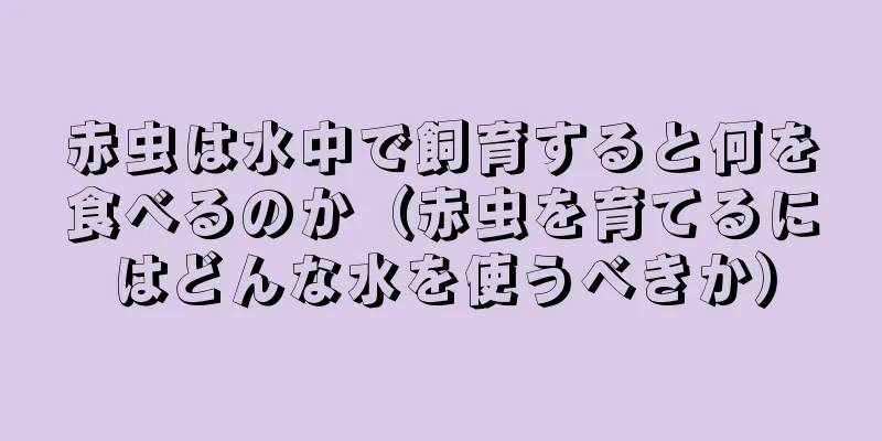 赤虫は水中で飼育すると何を食べるのか（赤虫を育てるにはどんな水を使うべきか）