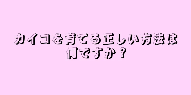 カイコを育てる正しい方法は何ですか？