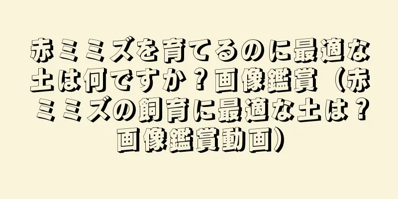 赤ミミズを育てるのに最適な土は何ですか？画像鑑賞（赤ミミズの飼育に最適な土は？画像鑑賞動画）