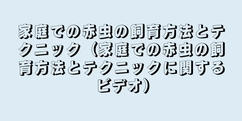 家庭での赤虫の飼育方法とテクニック（家庭での赤虫の飼育方法とテクニックに関するビデオ）