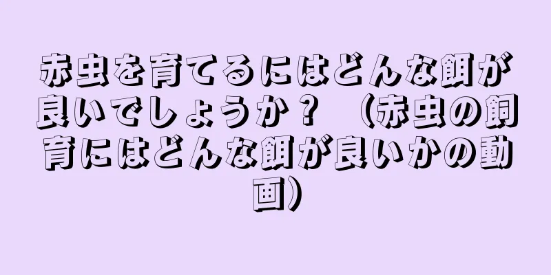 赤虫を育てるにはどんな餌が良いでしょうか？ （赤虫の飼育にはどんな餌が良いかの動画）