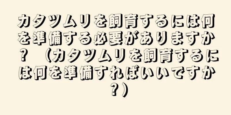 カタツムリを飼育するには何を準備する必要がありますか？ （カタツムリを飼育するには何を準備すればいいですか？）