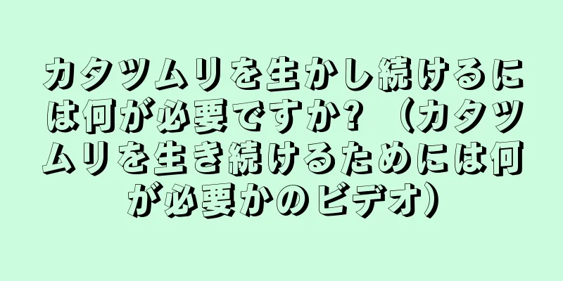 カタツムリを生かし続けるには何が必要ですか? （カタツムリを生き続けるためには何が必要かのビデオ）