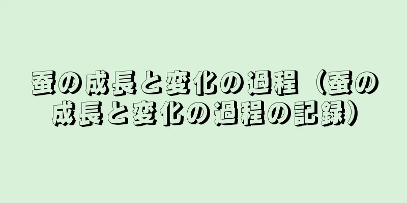 蚕の成長と変化の過程（蚕の成長と変化の過程の記録）