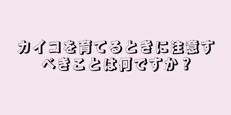 カイコを育てるときに注意すべきことは何ですか？