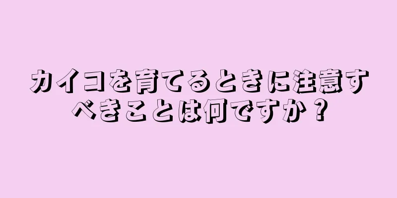 カイコを育てるときに注意すべきことは何ですか？