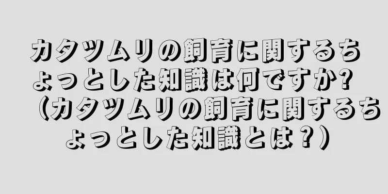 カタツムリの飼育に関するちょっとした知識は何ですか? （カタツムリの飼育に関するちょっとした知識とは？）