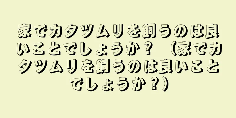 家でカタツムリを飼うのは良いことでしょうか？ （家でカタツムリを飼うのは良いことでしょうか？）