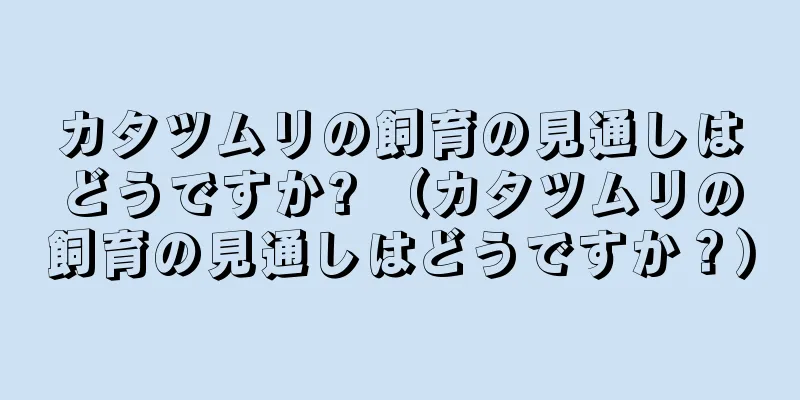 カタツムリの飼育の見通しはどうですか? （カタツムリの飼育の見通しはどうですか？）