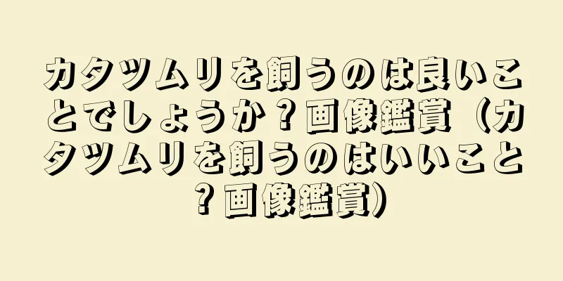 カタツムリを飼うのは良いことでしょうか？画像鑑賞（カタツムリを飼うのはいいこと？画像鑑賞）