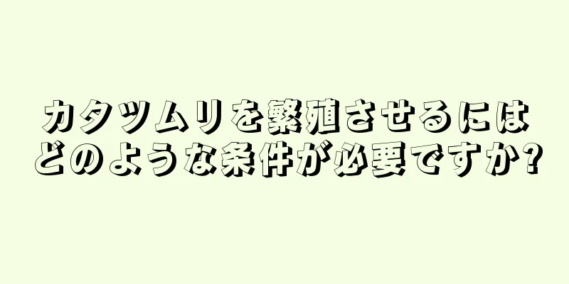 カタツムリを繁殖させるにはどのような条件が必要ですか?