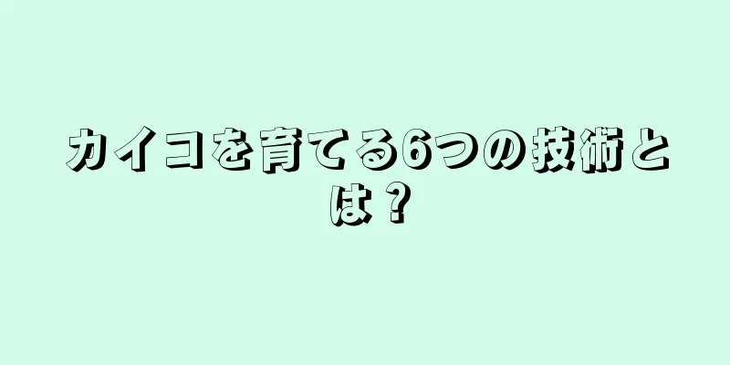 カイコを育てる6つの技術とは？