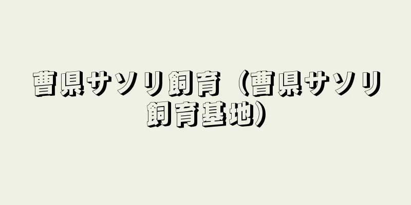 曹県サソリ飼育（曹県サソリ飼育基地）